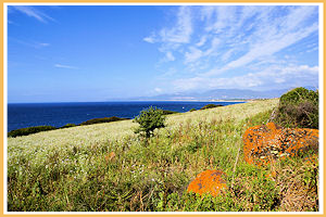 walking La ciaccia Valledoria
