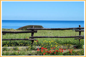 trekking cycle track